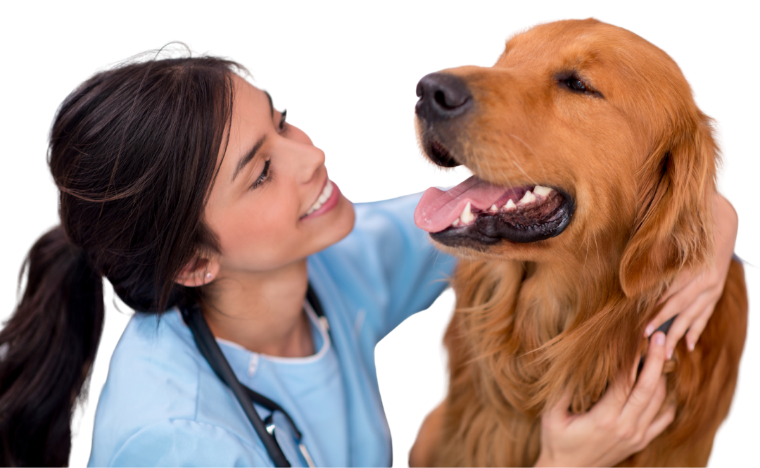 visit our west end billings mt veterinarian office